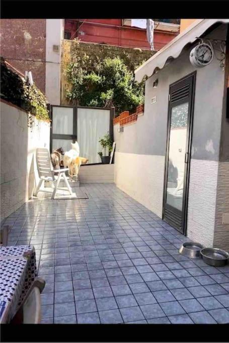 Napoli Centro Casa Con Due Camere E Cucina Eksteriør billede